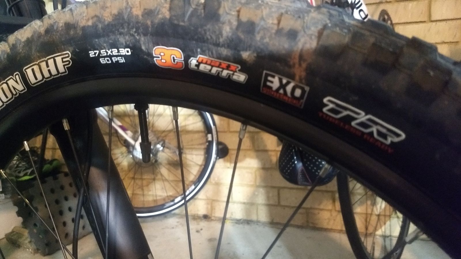 Maxxis Minion 3C
